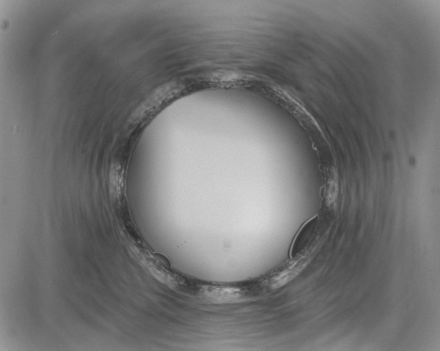 X0000081580476200702051244