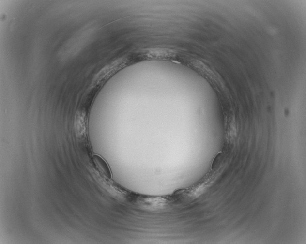 X0000081580478200702051244