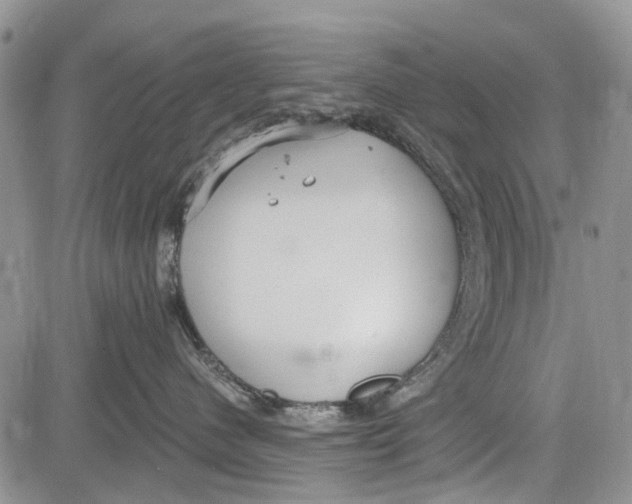 X0000081580480200702051244