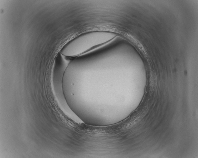 X0000081580481200702051243