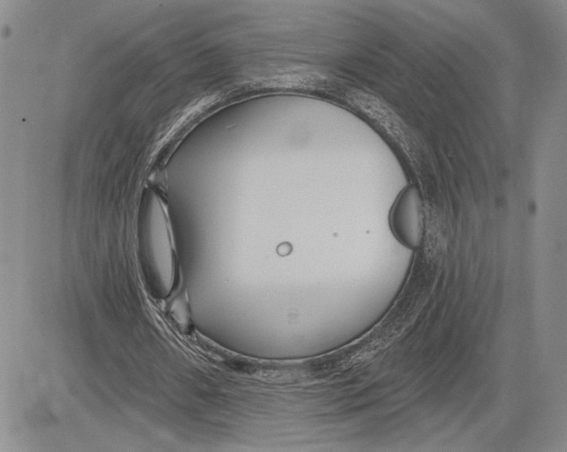 X0000081580482200702051243