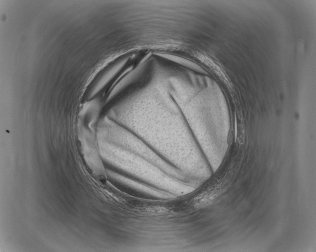 X0000081580483200702051243