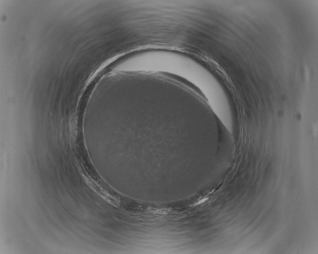 X0000081580484200702051243