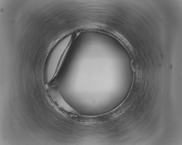 X0000081580485200702051243