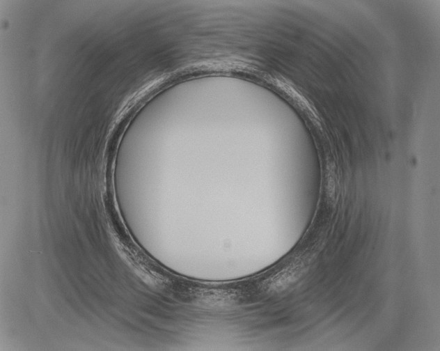 X0000081580486200702051243