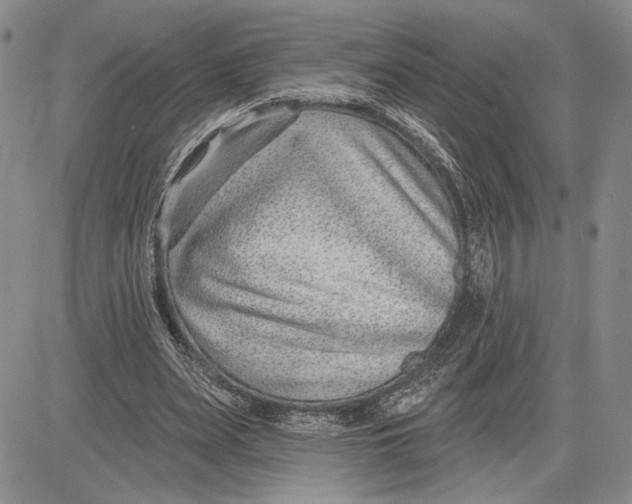 X0000081580487200702051243