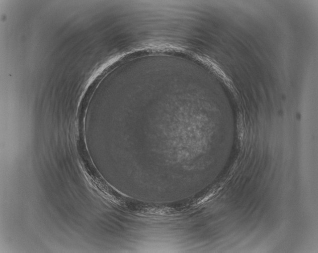 X0000081580488200702051243