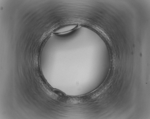 X0000081580489200702051243