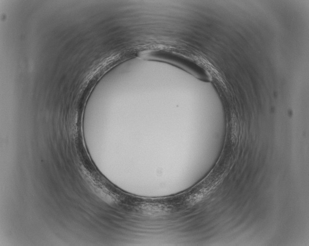 X0000081580490200702051243