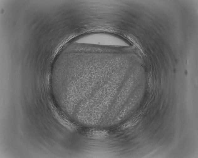 X0000081580491200702051243