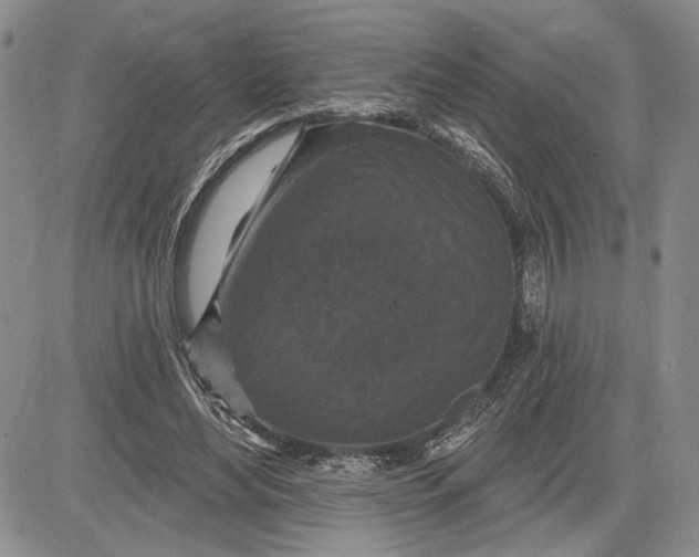 X0000081580492200702051243