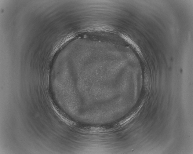 X0000081580493200702051243