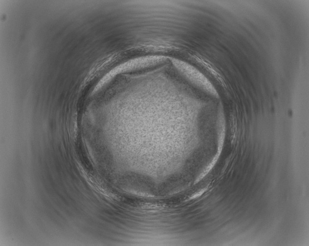 X0000081580494200702051243