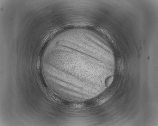 X0000081580495200702051243