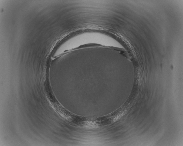 X0000081580496200702051243