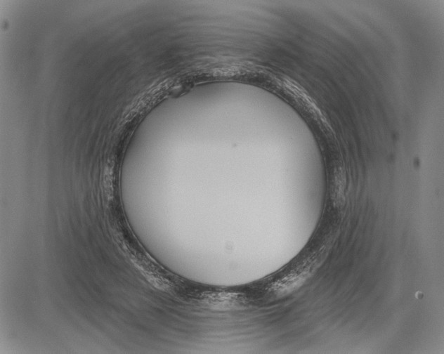 X0000081580497200702051243