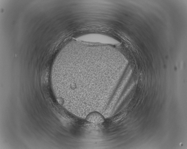 X0000081580499200702051243