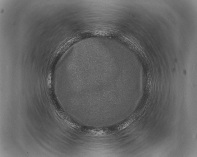 X0000081580502200702051243