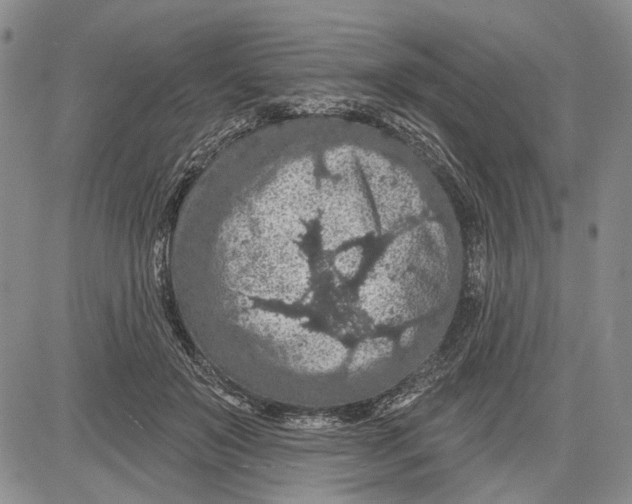 X0000081580503200702051242