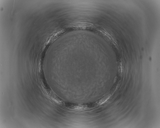 X0000081580504200702051242