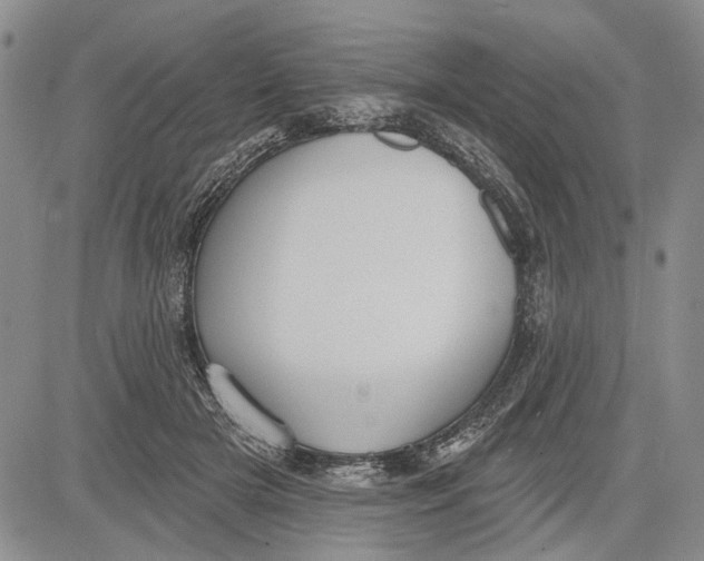 X0000081580505200702051242