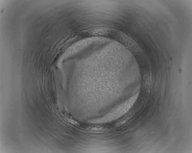 X0000081580506200702051242