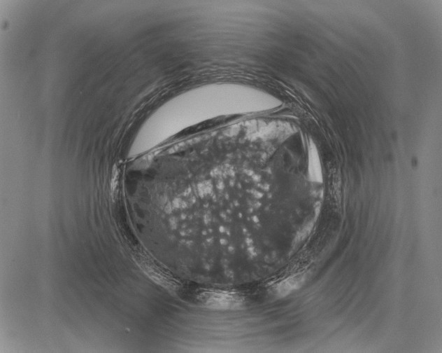 X0000081580507200702051242