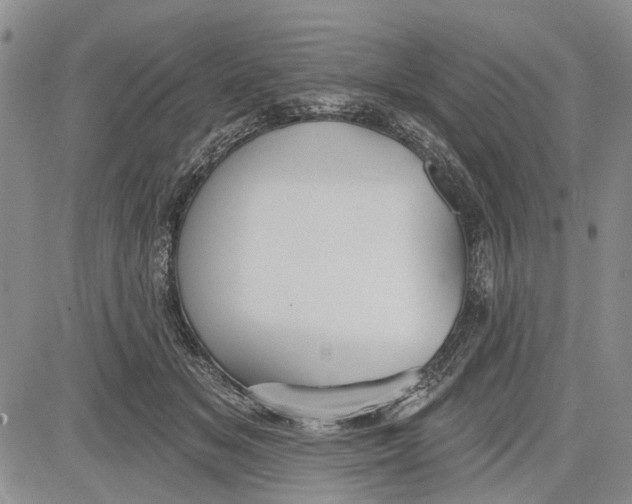 X0000081580509200702051242