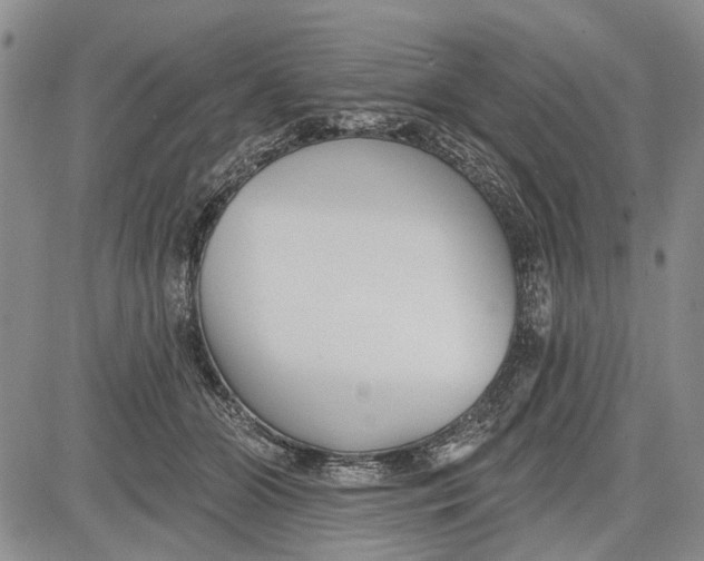 X0000081580510200702051242