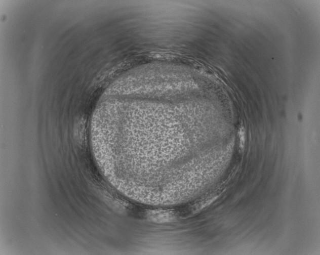 X0000081580511200702051242