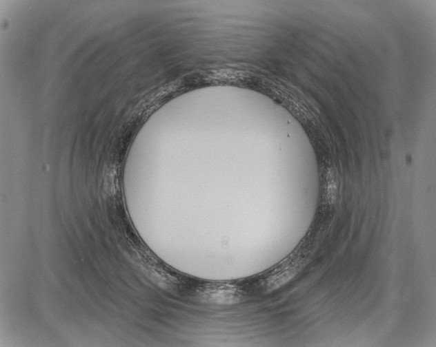 X0000081580514200702051242