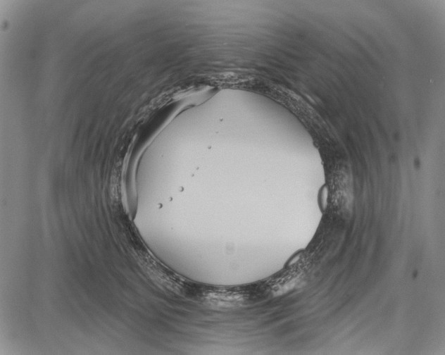 X0000081580515200702051242