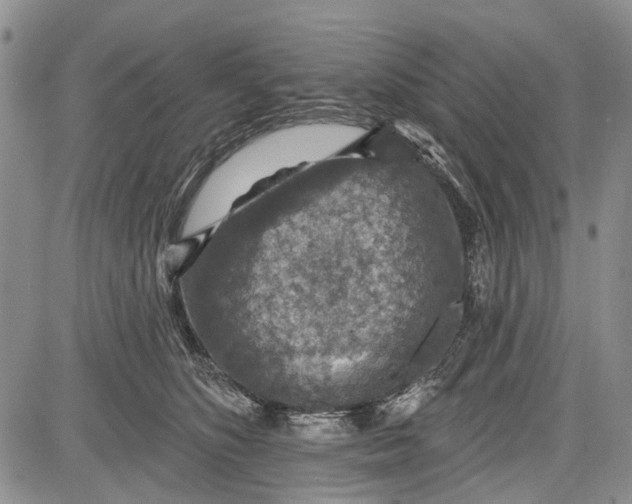 X0000081580516200702051242