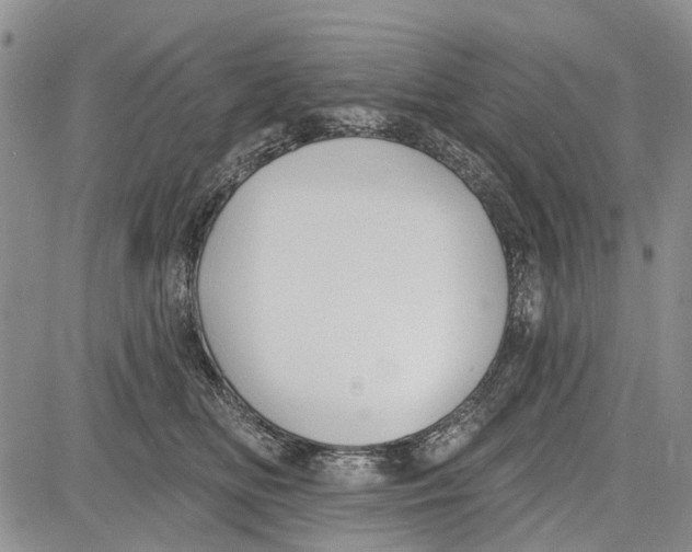 X0000081580518200702051242