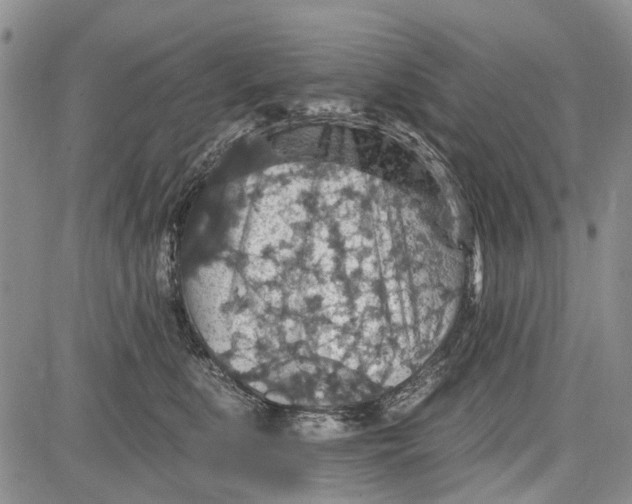 X0000081580519200702051242