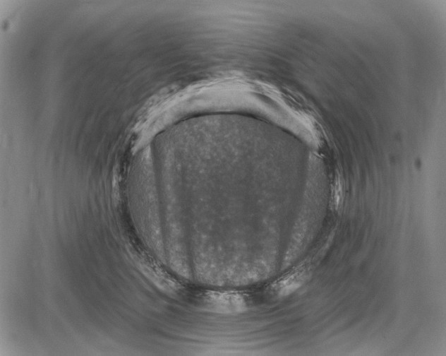 X0000081580520200702051242