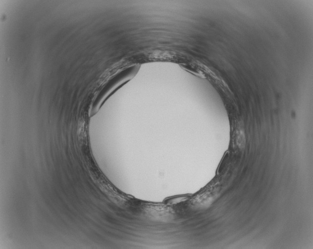 X0000081580521200702051242