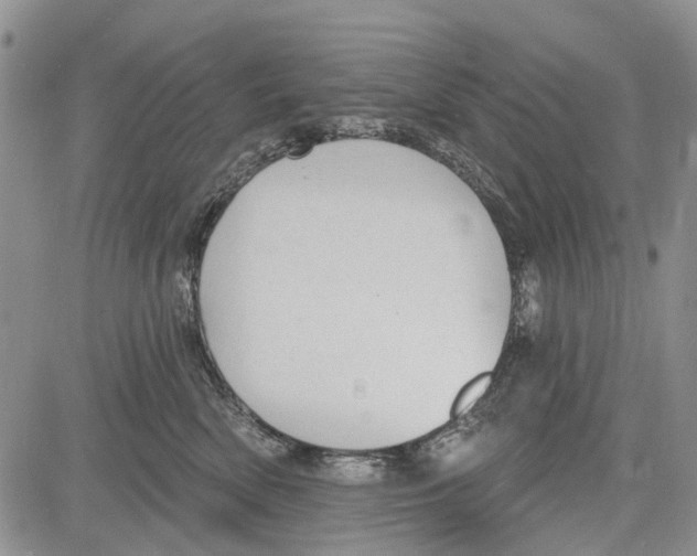 X0000081580522200702051242