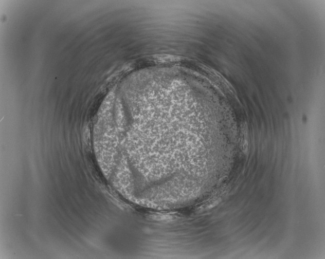 X0000081580523200702051242