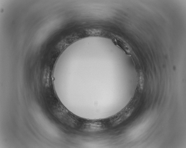 X0000081580525200702051242