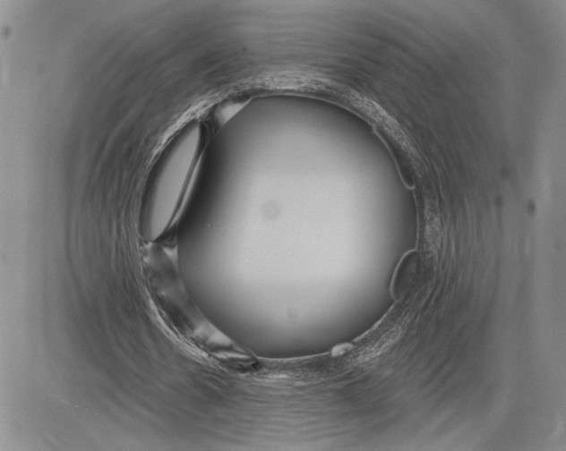 X0000081580530200702051241