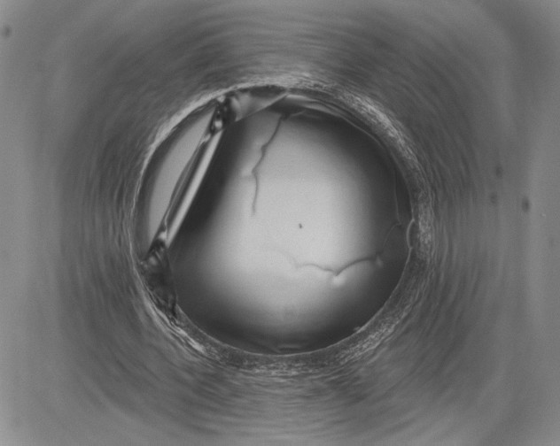 X0000081580532200702051241