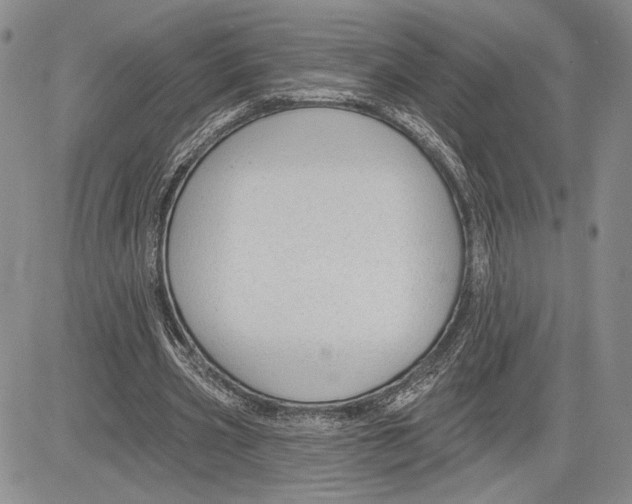 X0000081580533200702051241