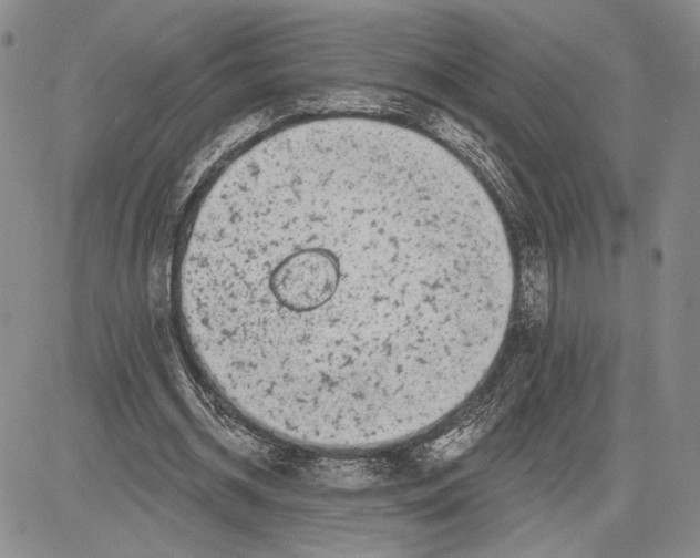 X0000081580534200702051241