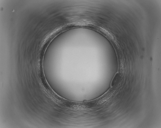 X0000081580535200702051241