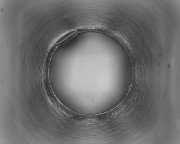 X0000081580536200702051241