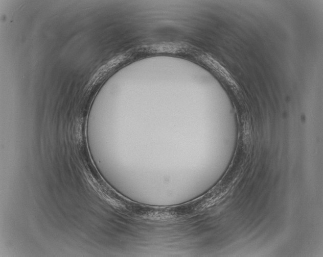 X0000081580537200702051241