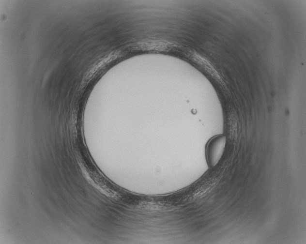 X0000081580538200702051241