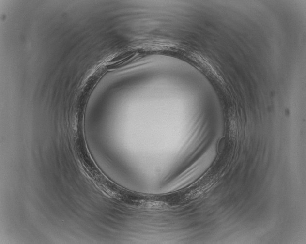 X0000081580539200702051241