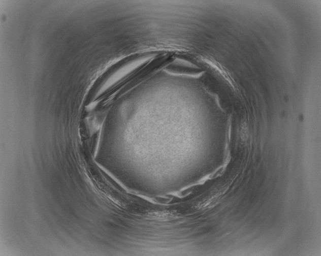 X0000081580540200702051241